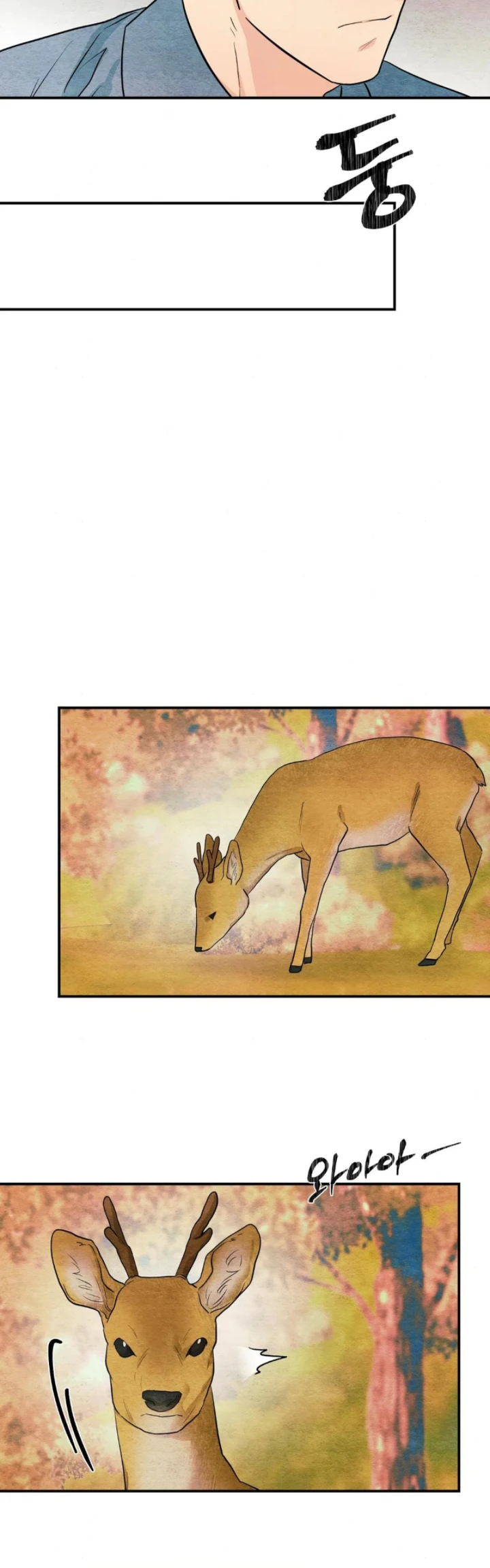 Wild Eyes - Chapter 72 24
